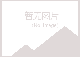 梅河口冰夏采矿有限公司